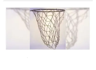 The Mobile Professional Basketball Hoop