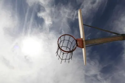 Nylon Basketball Net by Sikhan International Pvt Ltd
