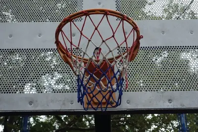 Basketball Ring by Aksons Overseas
