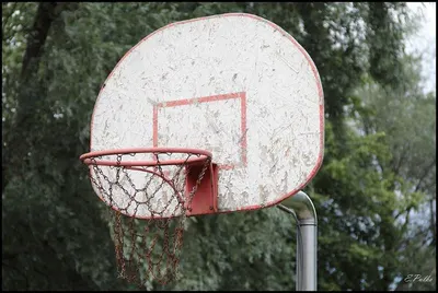 Round Scorer