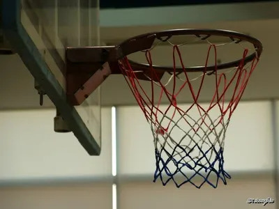 Basket
