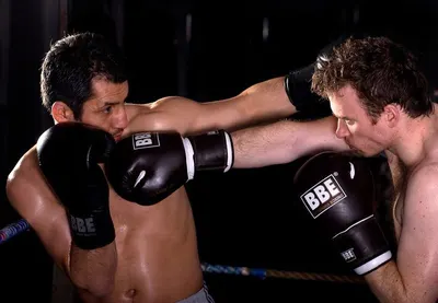 Brawl Gear Pro-Style Boxing Gloves for Women