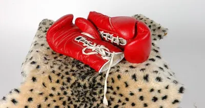 Leopard head - life size