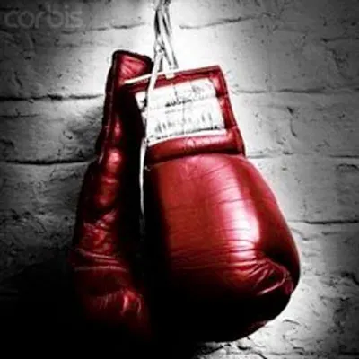 MMA Training Punching Gloves