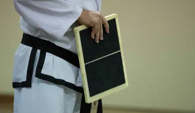Karate Suite