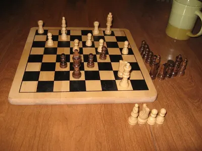 Chess by BSP Export Pvt. Ltd.