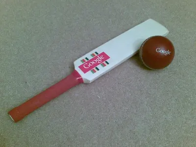 Cricket set