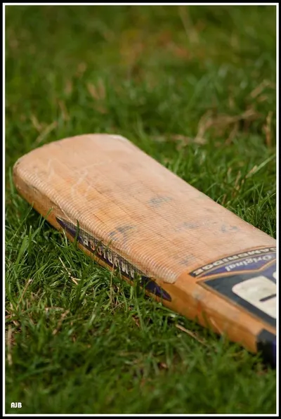 Maple Wood Skateboard