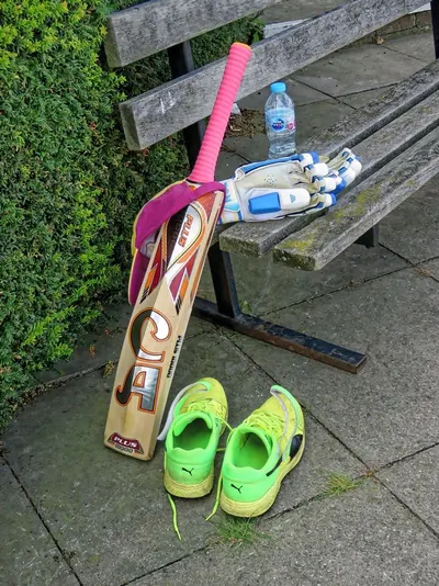 Spring shoe tree