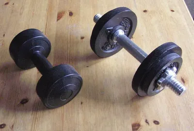 BowFlex SelectTech 552 Dumbbells