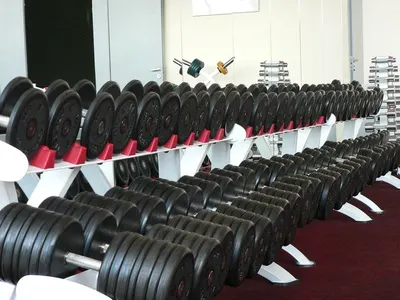 Crossfit Fitness Olympic Bars For Weight Lifting