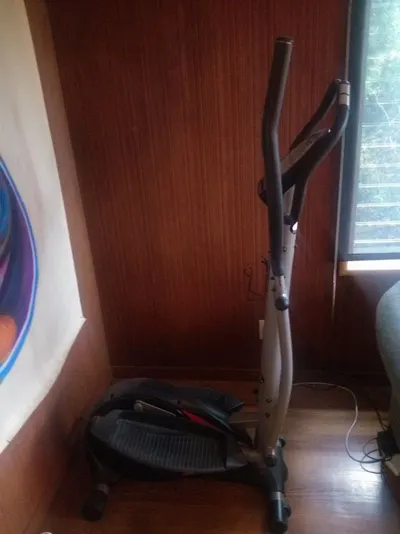 Schwinn Airdyne X by Big Star Fitness