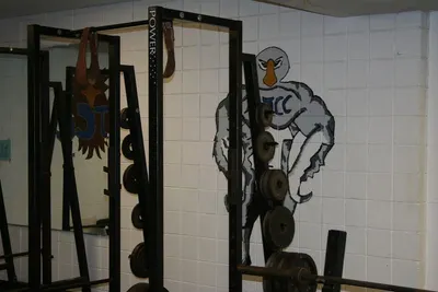 Pectoral machine