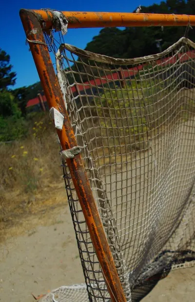Debris net