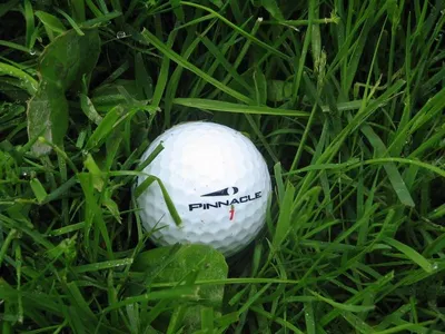 Golf range ball(2-p)