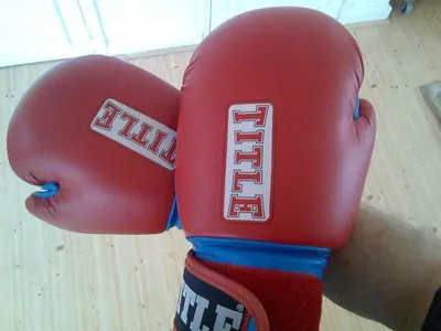Boxing gloves by Business Plus