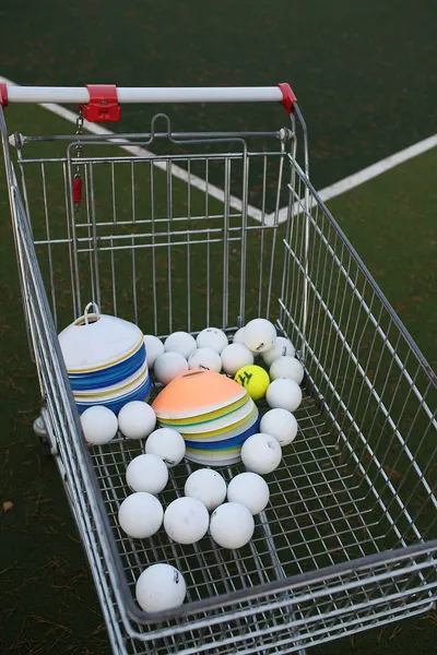Ball Carrying Cart by Garg Sports International