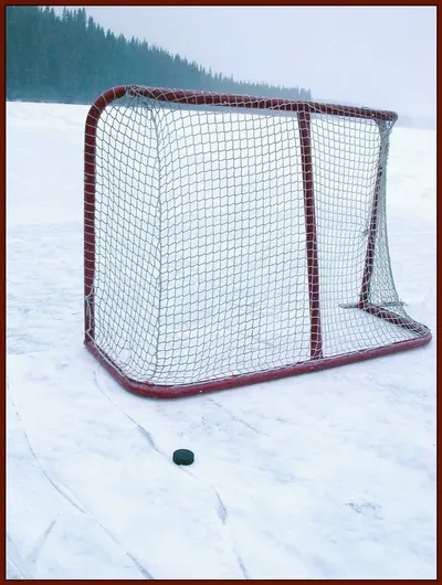 Double Hockey
