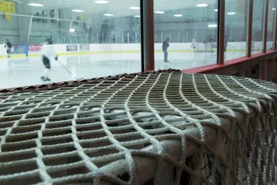 Net belt individual quick freezer