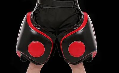 MMA Training Short MTS01 by DEESHA INDUSTRIES