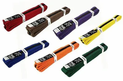 Yoga Ropes - Pair