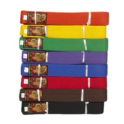 Nylon Dog Collar