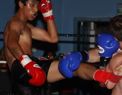 MMA Muay Thai Short - Image 3