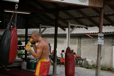 Wholesale MMA Muay Thai Shorts by Molson Sports