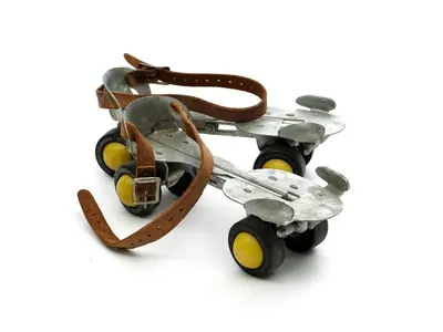 Mini Shark Roller Coaster