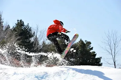 Snowboard Cores