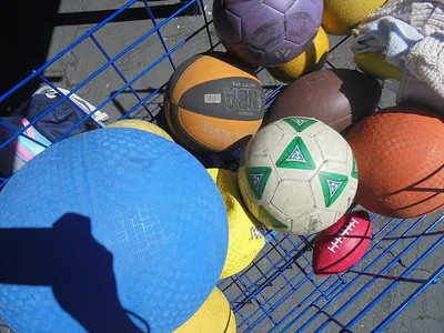 Carbonic Net PVC Soccer Ball