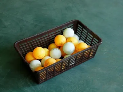 Plastic Quail Egg Tray Egg Carton