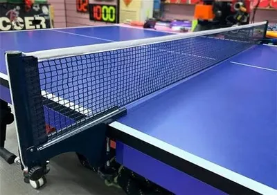 Americas Dx Table Tennis Table by Sikhan International Pvt Ltd