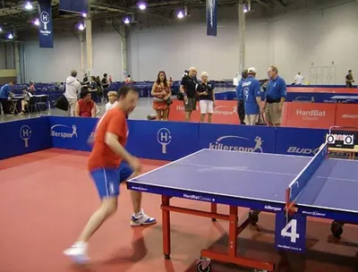 International Table Tennis Tables by Sikhan International Pvt Ltd