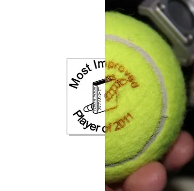 Multi -Purpose Rubber Tennis Ball