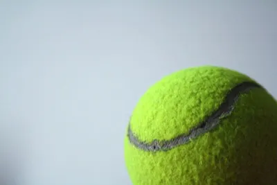 Tennis ball