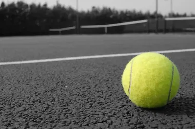 Tennis Balls by Sports Matrix Corp