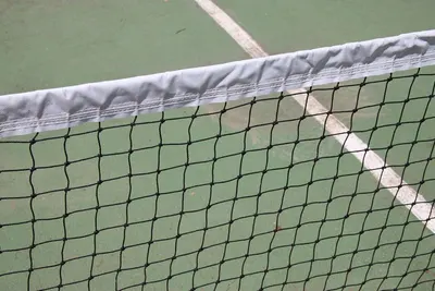 PE Fence Net