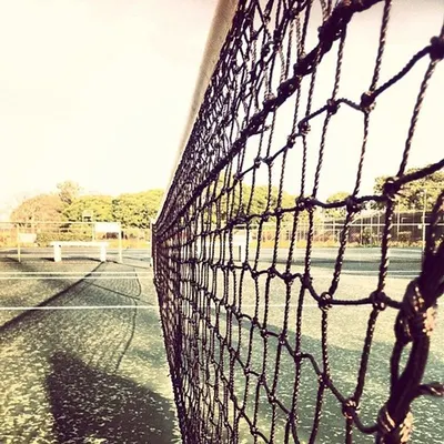 Net fence
