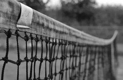 Fence netting