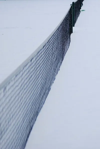 Border fence