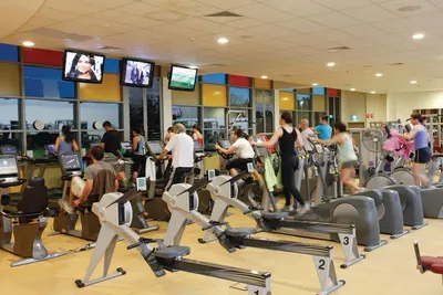 Noah Commercial Treadmill by Excel Engineers