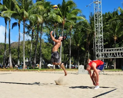 Premier Volleyball by Wasan Exports
