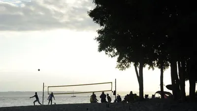Volleyball Net G-212