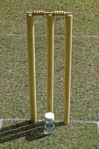 Hinging Poles by Ventura Salasar Energy Industries Ltd