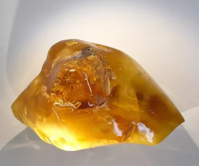 Gum Rosin