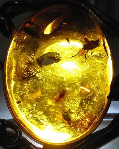 Bright Gold Pet