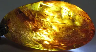 Green gold