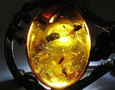 Led Beverage Cooler Light