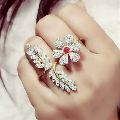 Ring Series 1